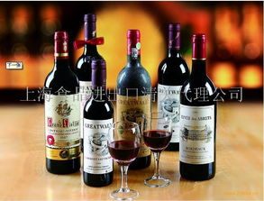 食品进出口与加盟店经营指南 产品选择、图片优化与代理服务