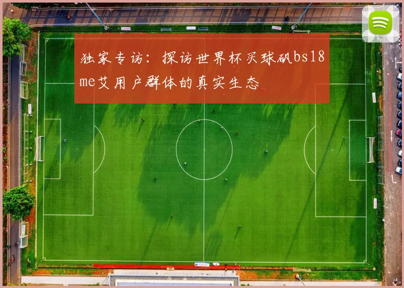 独家专访：探访世界杯买球矾bs18me艾用户群体的真实生态