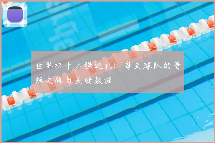 世界杯十六强巡礼：每支球队的晋级之路与关键数据