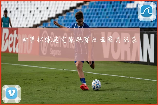 世界杯球迷宅家观赛画面图片记录