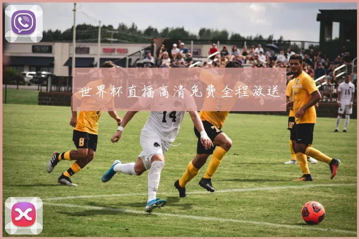 世界杯直播高清免费全程放送