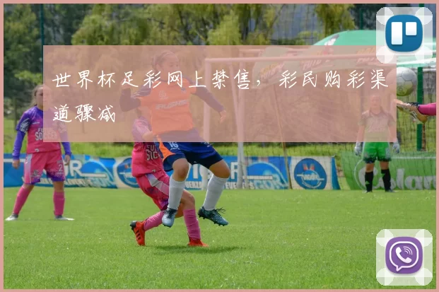 世界杯足彩网上禁售,彩民购彩渠道骤减