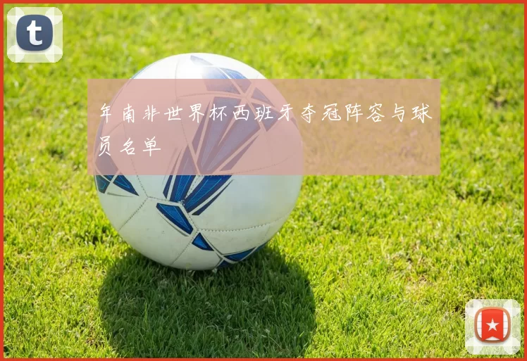 年南非世界杯西班牙夺冠阵容与球员名单