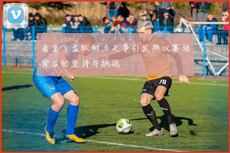 南京飞盘队耐力之争引发热议赛场背后的坚持与挑战