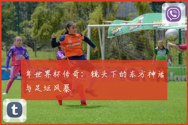 年世界杯传奇：镜头下的东方神话与足坛风暴