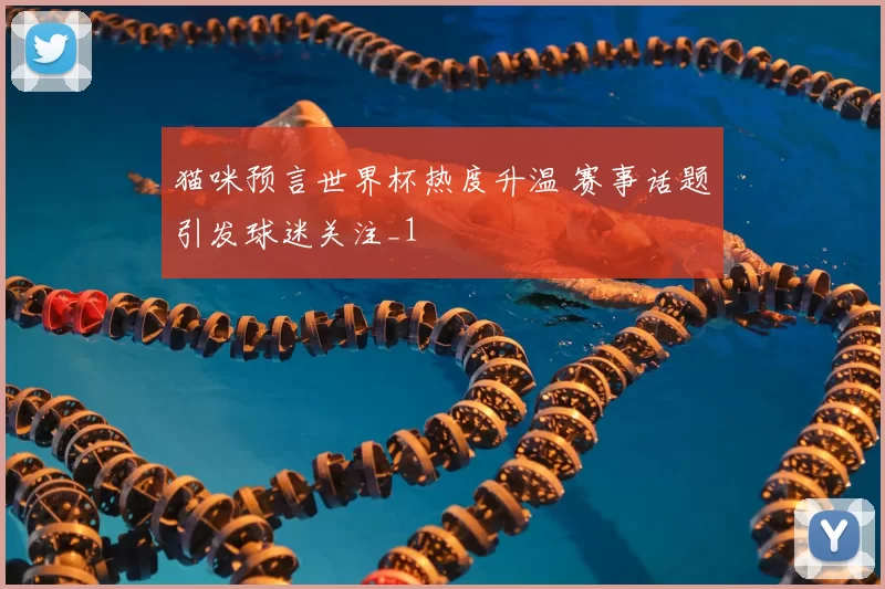 猫咪预言世界杯热度升温 赛事话题引发球迷关注_1