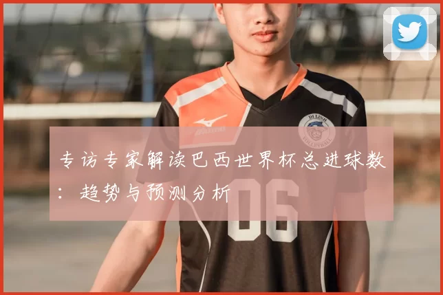专访专家解读巴西世界杯总进球数：趋势与预测分析