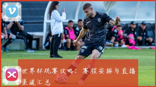 世界杯观赛攻略：赛程安排与直播渠道汇总