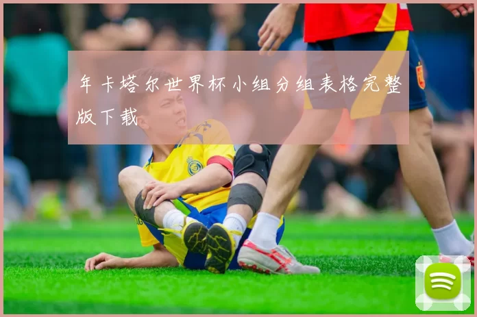 年卡塔尔世界杯小组分组表格完整版下载