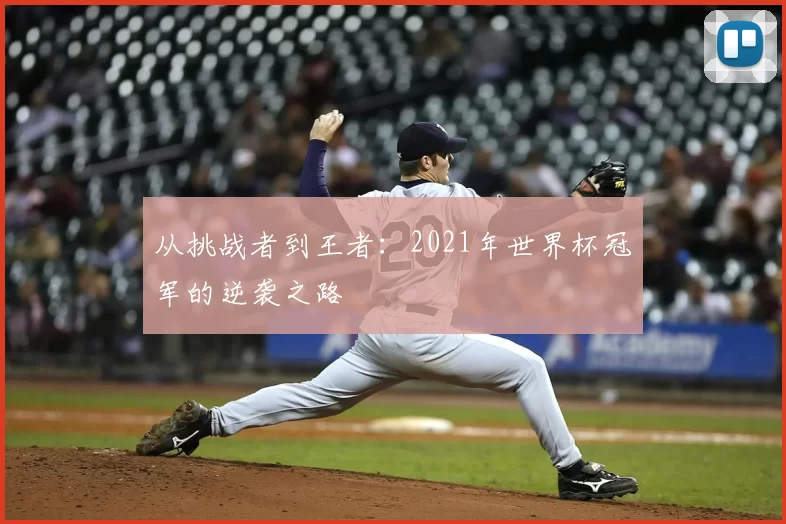 从挑战者到王者：2021年世界杯冠军的逆袭之路