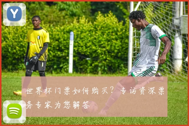 世界杯门票如何购买?专访资深票务专家为您解答