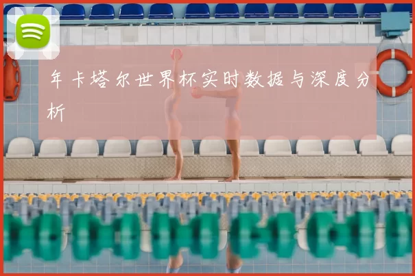 年卡塔尔世界杯实时数据与深度分析