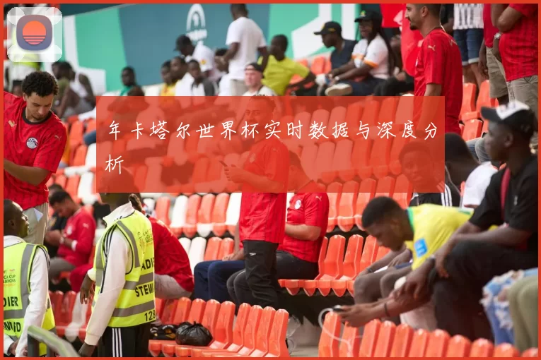 年卡塔尔世界杯实时数据与深度分析