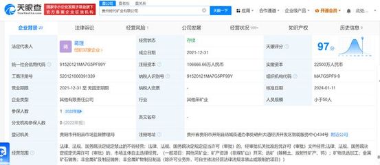 宁德时代旗下矿业公司增资至10.67亿元，强化金属矿石销售布局